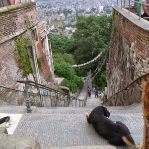 Meet your Posher, Jacklyn